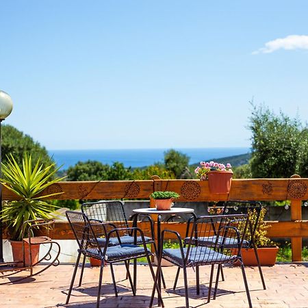 Agriturismo Paulesa 多尔加利 外观 照片