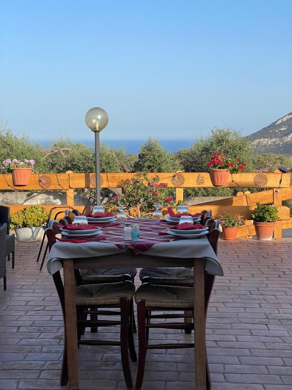 Agriturismo Paulesa 多尔加利 外观 照片